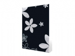 Laminate Stainless Steel Sheet